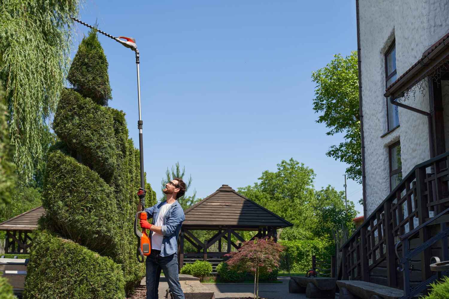 Professional Tree Service in Lakemont, PA